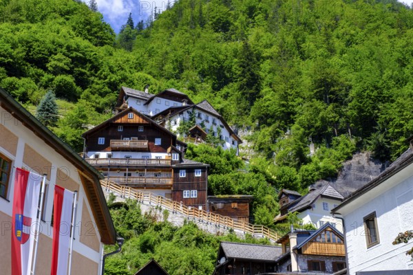 Residential buildings, Hallstatt am Hallstätter See, Salzkammergut, Upper Austria, Austria, Europe