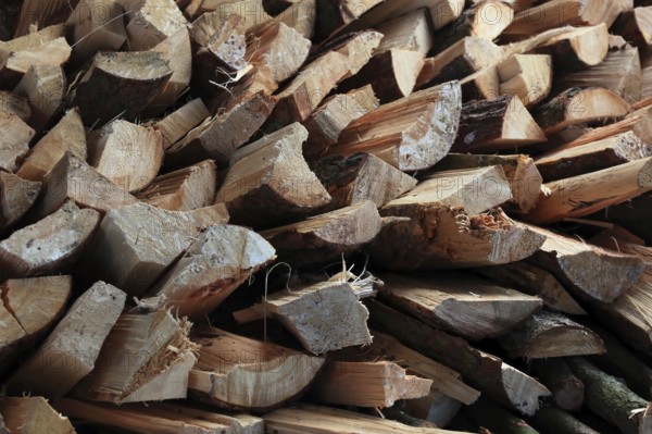 Firewood, split logs