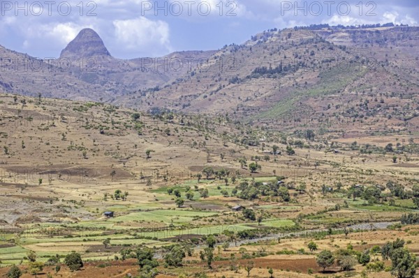 Countryside showing farms with green fields in barren landscape along the road from Bahir Dar to
