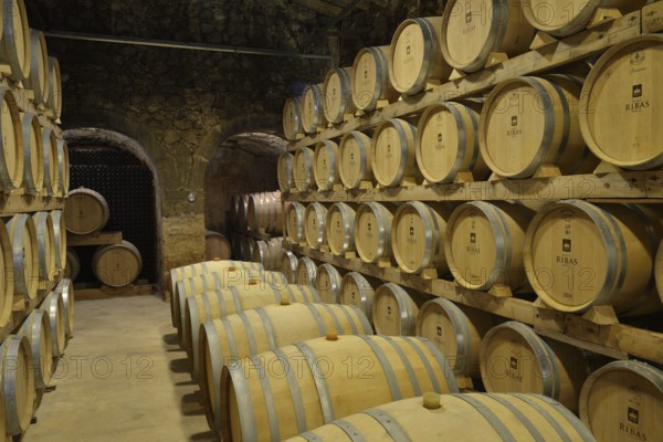 Wine barrels, Bodega Ribas, Consell, Majorca, Balearic Islands, Spain, Europe