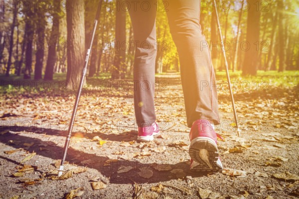 Nordic walking: adventure and exercising concept, woman hiking, legs and nordic walking poles in