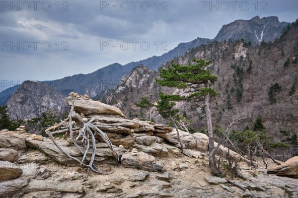 Rocks and stones in cloudy weather. Seoraksan National Park, South Korea, Asia