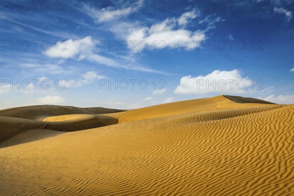 Dunes of Thar Desert. Sam Sand dunes, Rajasthan, India, Asia