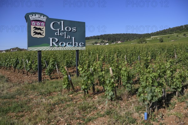 Sign at a vineyard on the Route des Grand-Crus, Route of Fine Wines, Clos de la Roche,