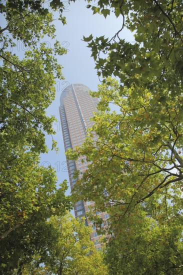 Messeturm 257m, view up, green, branches, deciduous tree, perspective, tower, Messe, Bockenheim,