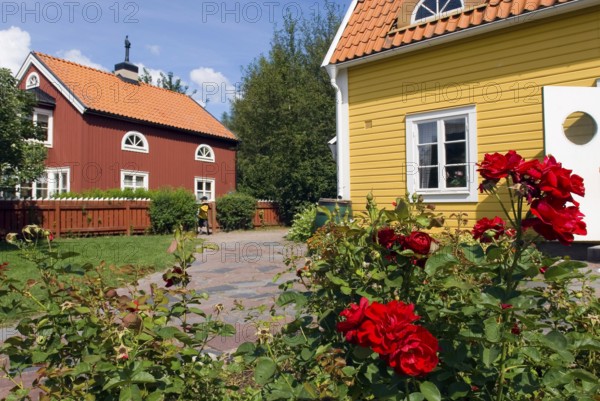 Typical wooden house in Sweden, Swedish, Swedish house, house, wood, rose, flower, Vimmerby,