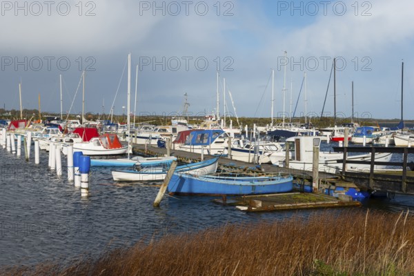 Marina, Egense, Mou, Aalborg, North Jutland, North Jutland, Limfjord, Kattegat, Denmark, Europe