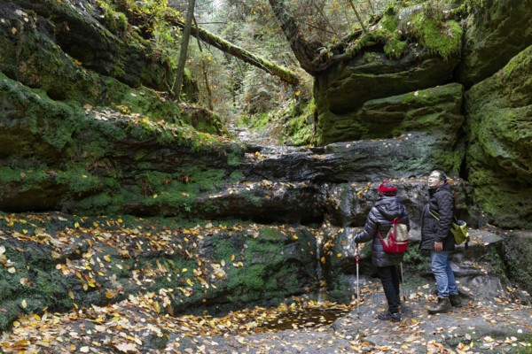 Hiking trail through the Schwedenlöcher, Amselgrund near Rathen, Saxon Switzerland, Elbe Sandstone
