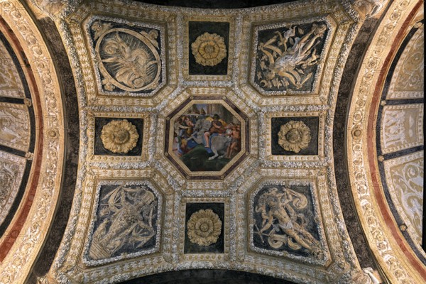 Vaulted ceiling in a room of the Villa del Principe, Palazzo di Andrea Doria, Piazza dei Principe,