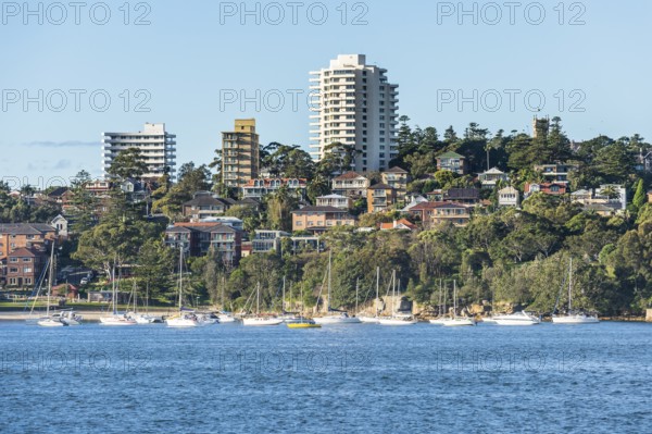 Manly harbour, Sydney, New South Wales, Australia, Oceania