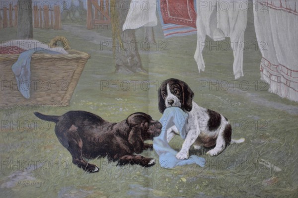 Young dogs at play, pulling laundry off the line. Colour print as art supplement Zur guten Stunde,