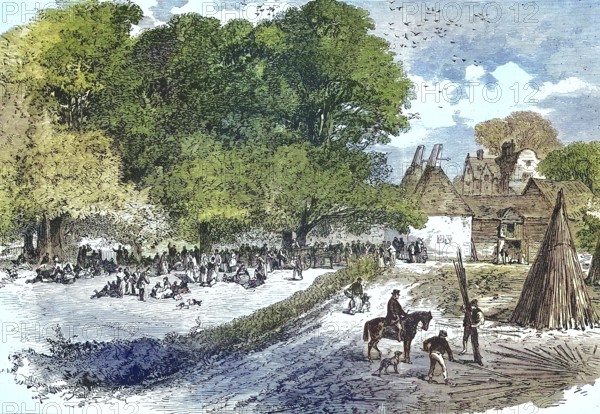 The Hop Harvest, Hop Picking, in the Department du Nord, 1869, France, Historic, digitally restored