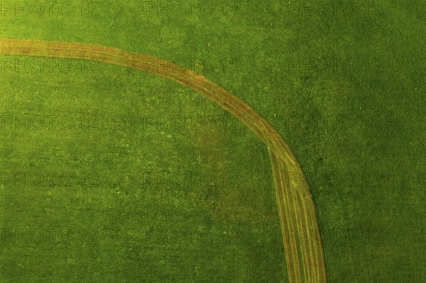 Drone image, structure of a mown meadow, from above, structure, agriculture, agricultural