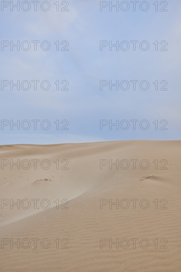 Beach "Platja del Fangar", sand dunes, Vegetation, nature reserve, ebro delta, Catalonia, Spain,