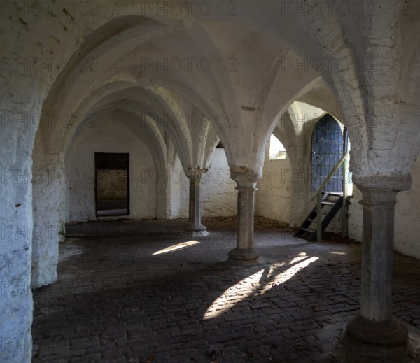 Fine brick arched vaulting of 14th century refectory undercroft, St Olaves priory, Norfolk,