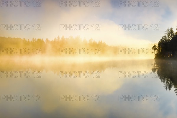 Backlit sunrise with wafts of mist over the mirror-smooth moorland lake Étang de la Gruère in the
