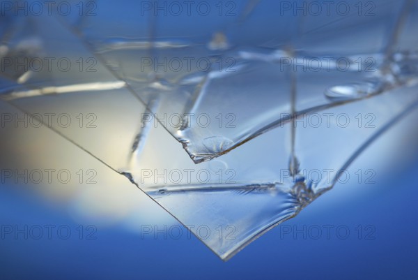 Leaf gelatine, gelatine leaf, edible gelatine, gelling agent