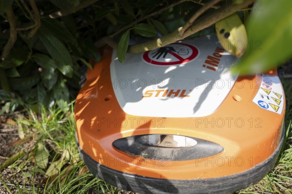 Mowing robot, lawn mower, Stihl, orange and white, under a cherry laurel bush, standing on lawn,