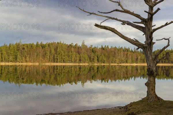 Lake Fohnsee of the Ostersee-group in early morning light