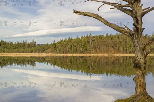 Lake Fohnsee of the Ostersee-group in early morning light