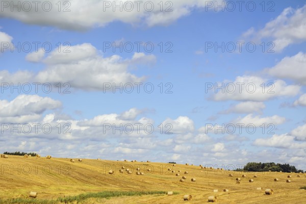 A Lot Of Haystacks On The Field In Lithuania