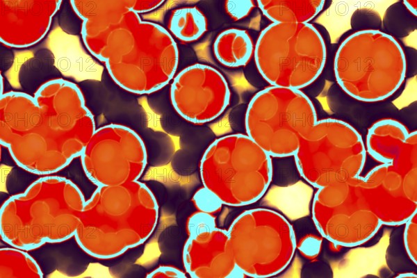 Shape of bacterial cell: cocci, bacilli, spirilla bacteria background