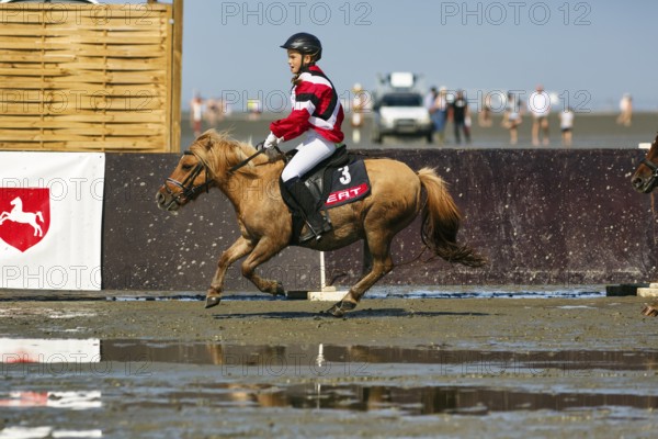 Rider, pony at a gallop, child at a gallop race in the mudflats, Duhner Wattrennen 2019, Duhnen,