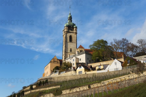 Church and houses on a hill with vineyards under a clear sky, Church of St Peter and Paul, Melnik,