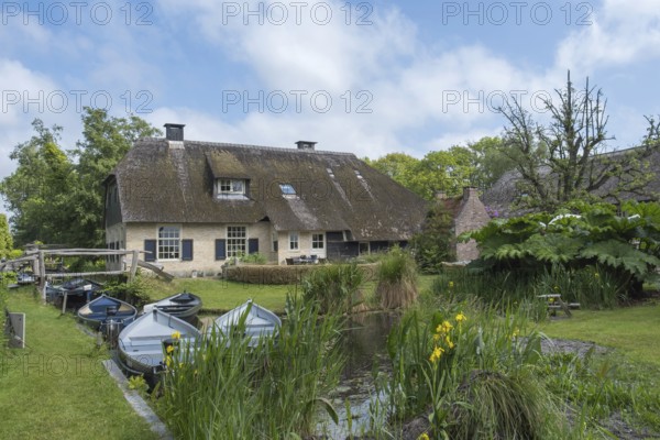 Farmstead with thatched roof, surrounded by river and pond full of boats in a green environment,