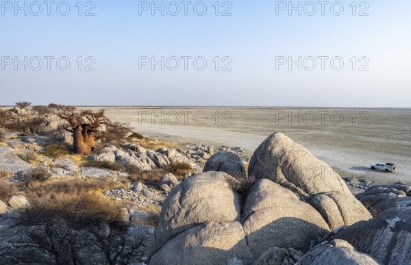 African baobab or baobab tree (Adansonia digitata), between round rocks, at sunrise, with salt pan,