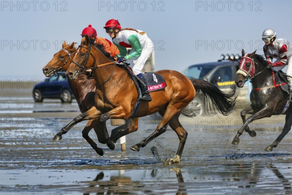 Riders, horses at a gallop, gallop race in the mudflats, Duhner Wattrennen 2019, Duhnen, Cuxhaven,