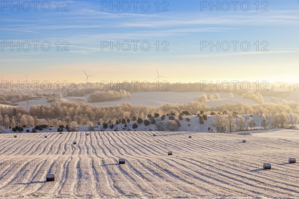 Scenic view at straw bales on a field in a frozen winter landscape with snow and hoarfrost on the