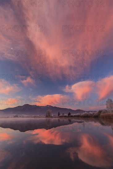 Cloudy mood, dawn, mountains reflected in lake, winter, hoarfrost, Loisach-Lake Kochel moor, behind