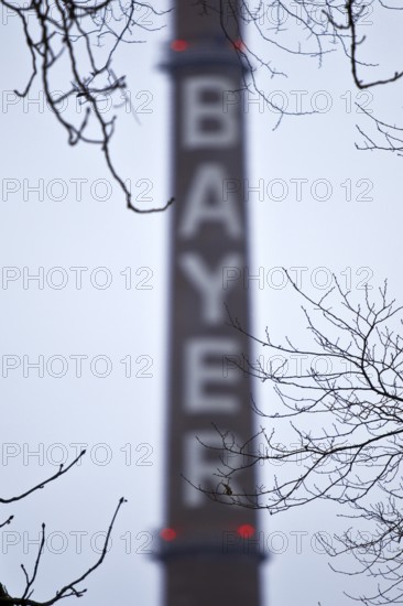 Bayer lettering on a chimney behind bare branches, Bayer AG, agrochemical and pharmaceutical