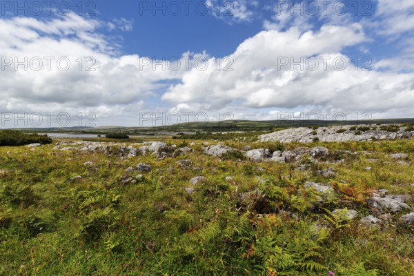 Karst landscape, lake on the horizon, Burren National Park, County Clare, Ireland, Europe