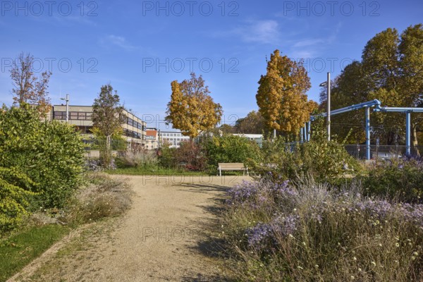 Duchess Garden, gardens with flowerbeds, paths and trees, asters (Aster), above-ground district