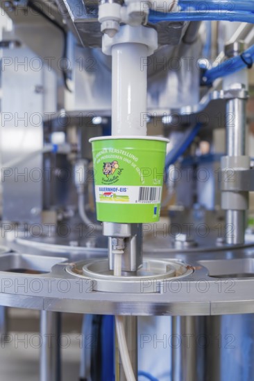 Ice cream production with machine that fills green cups, ice cream production Haselstaller Hof,