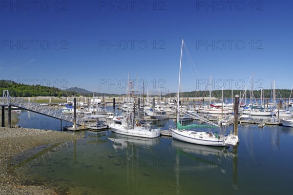 A harbour full of boats and sailboats under a clear blue sky, Cormorant Island, Vancouver Island,