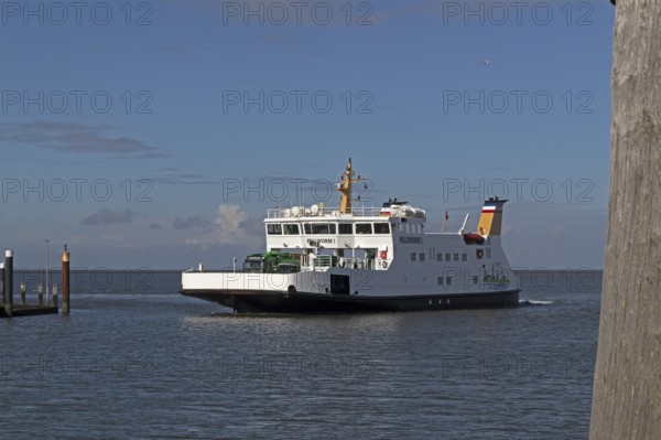 Pellworm ferry arrives, harbour, Strucklahnungshörn, Nordstrand, North Frisia, Schleswig-Holstein,