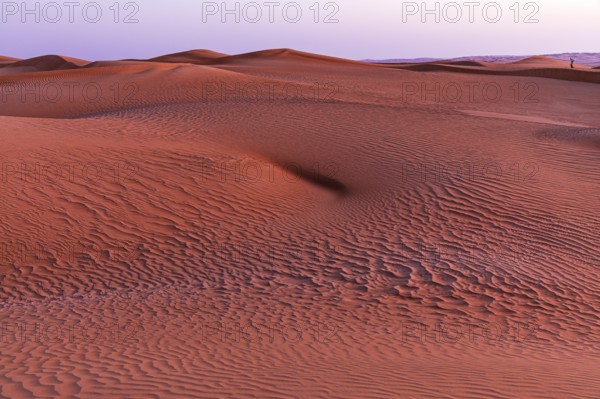 Sand structure formed by the wind, in the Rub al Khali desert, Dhofar province, Arabian Peninsula,