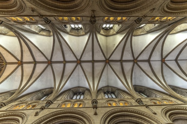 Ceiling of Gloucester Cathedral, England, Great Britain