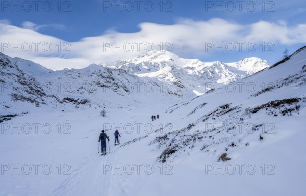Ski tourers ascending in the rear Martell Valley, snow-covered mountain peak Monte Cevedale behind,