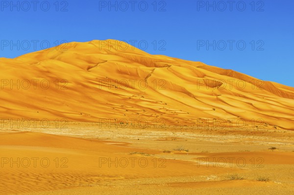 Wind-sculpted curved sand dunes in the Rub al Khali desert, Dhofar province, Arabian Peninsula,