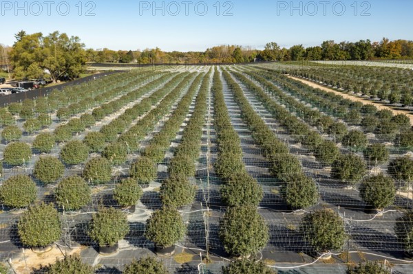 Paw Paw, Michigan, Grasshopper Farms, a large outdoor cannabis grower in west Michigan