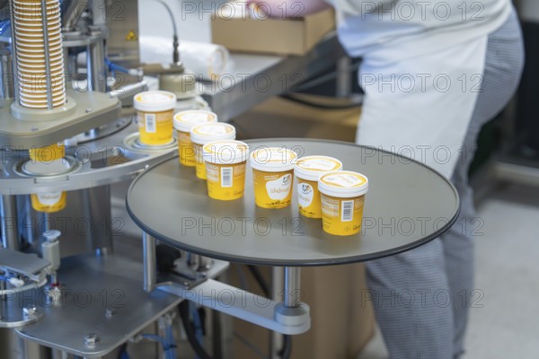 Yellow ice cream tubs on a turntable ready for packaging, ice cream production Haselstaller Hof,
