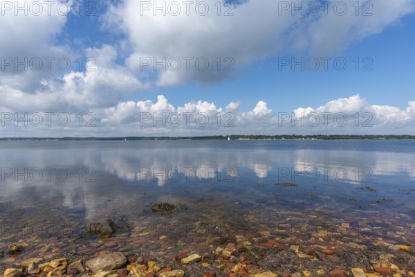 Nature reserve Holnis peninsula on the Flensburg Fjord, NSG, water reflection, German, Danish
