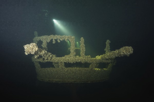 Underwater image of a shipwreck covered by mussels, Quagga triangle mussel (Dreissena rostriformis