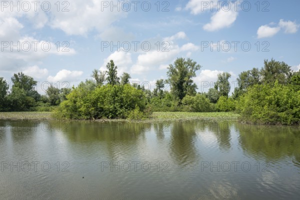 Parco del Mincio, Mantua, Italy, Europe
