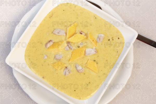 Swabian cuisine, brain soup with egg garnish, offal, calf's brain, regional, soup served in a bowl,
