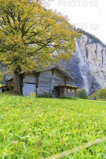 A barn stands next to an old tree with magnificent autumn leaves, near a waterfall, embedded in a